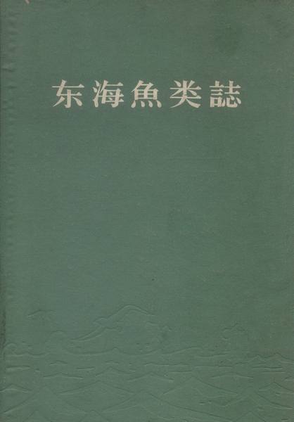 放大镜特效